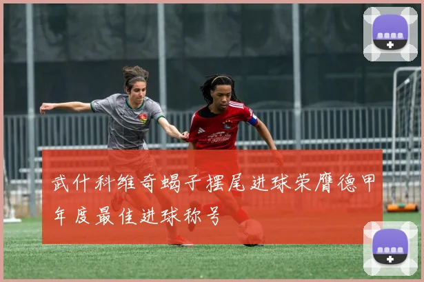 武什科维奇蝎子摆尾进球荣膺德甲年度最佳进球称号